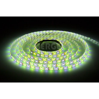 LED pásek - SMD 5050 - RGB+CW - 5 m - 60 LED/m - 14,4 W/m - IP20