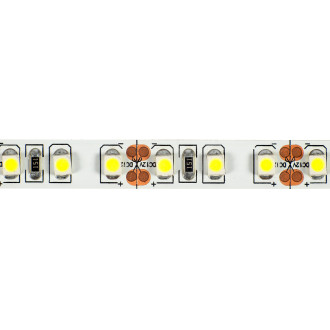 LED pásik - SMD 2835 600 - 50 m - 9,6 W/m - IP20 - studená biela