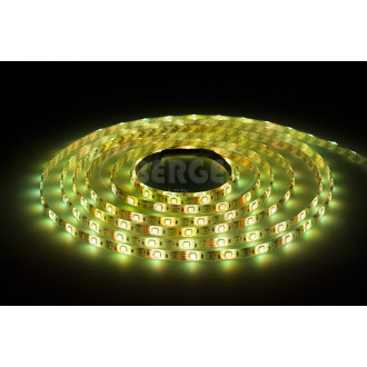 BERGE LED pásik - SMD 5050 - RGB+CW - 5 m - 60 LED/m - 14,4 W/m - IP65