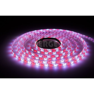 LED pásek - SMD 5050 - RGB+CW - 5 m - 60 LED/m - 14,4 W/m - IP20