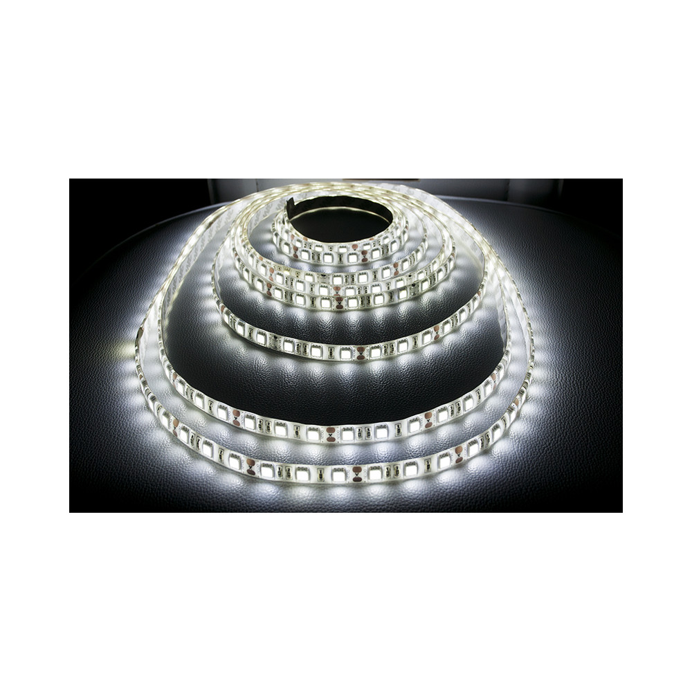 ECOLIGHT LED pásik - SMD 5050 - 5m - 60LED/m - 14,4W/m - IP65 - studená biela