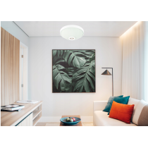 ECOLIGHT LED stropné svietidlo 2xE27 s pohybovým senzorom - sklo