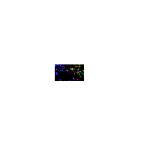 ECOLIGHT Osvetlenie vianočného stromčeka IP65 RGB LED pásik 10m 100led