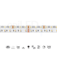 epiLED – 5m LED pásik ecoPT – 14W, 60xSMD, 10mm, IP20, 24V DC – RGBW / Teplá biela (WW)