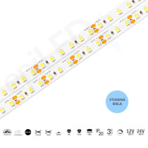 epiLED – 5m LED pásik Flex-120 – 9.6W, 120xSMD, 8mm, IP20, 12V DC - Studená biela (CW) / 10000°K