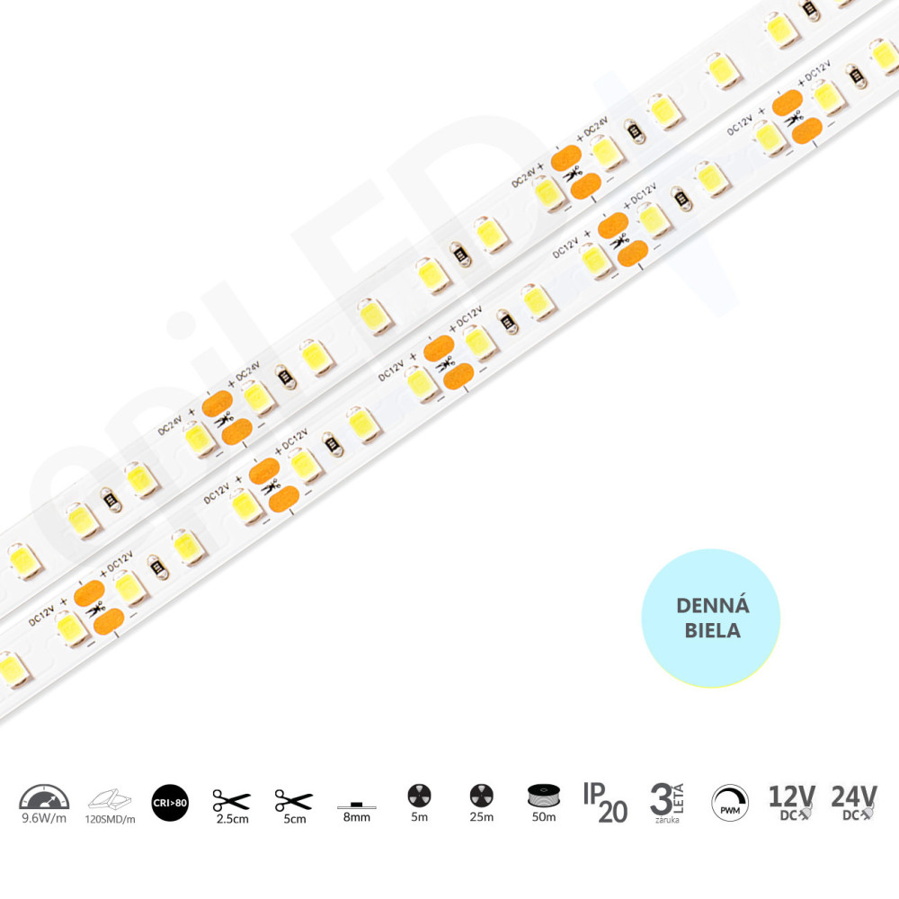 epiLED – 25m LED pásik Flex-120 – 9.6W, 120xSMD, 8mm, IP20, 12V DC - Denná biela (WH) / 6500°K