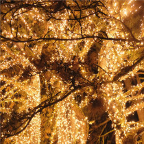 SPRINGOS - 400 LED (32m) vianočná svetelná reťaz CL0400, ​​vnút./vonk. na stromček - teplá biela