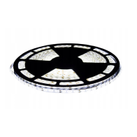 BERGE LED pásik - SMD 2835 - 1m - 4,8 W/m - IP20 - studená biela