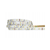 ECOLIGHT LED pásik - SMD 2835 - 50 m - 4,8 W/m - IP20 - studená biela