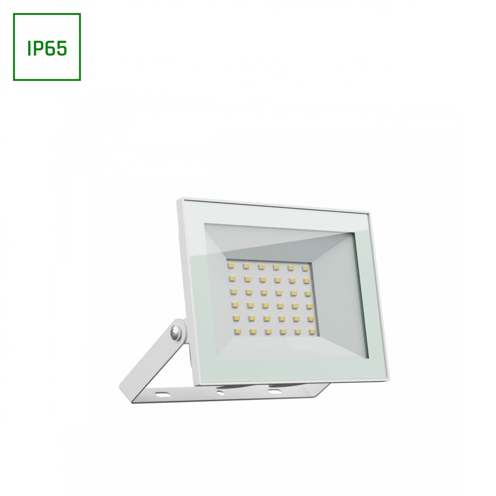 SPECTRUM - NOCTIS LUX 4 - 30W reflektor IP65 230V Studená biela / 6000°K - Biely