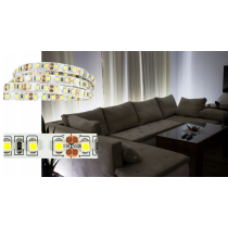 ECOLIGHT LED pásik 9,6 W/m studená farba 6500 K 600 lm/m 12 V DC IP20 1 m