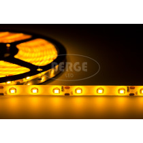 ECOLIGHT LED pásik - SMD 2835 - 5m - 60LED/m - 4,8W/m - IP20 - žltá