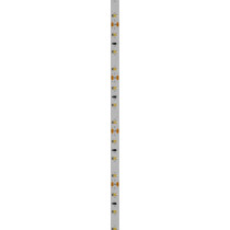 SPECTRUM - 5m LED pásik SMD 2835 - 4,8W/m - 336lm/m - 60LED/m - IP20 - 8mm - 12V - Studená biela / 6000°K - Záruka 5 rokov