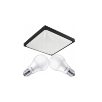 Milio LED stropné svietidlo 2xe27 - čierne - IP20 - 2x žiarovka PHILIPS 10W